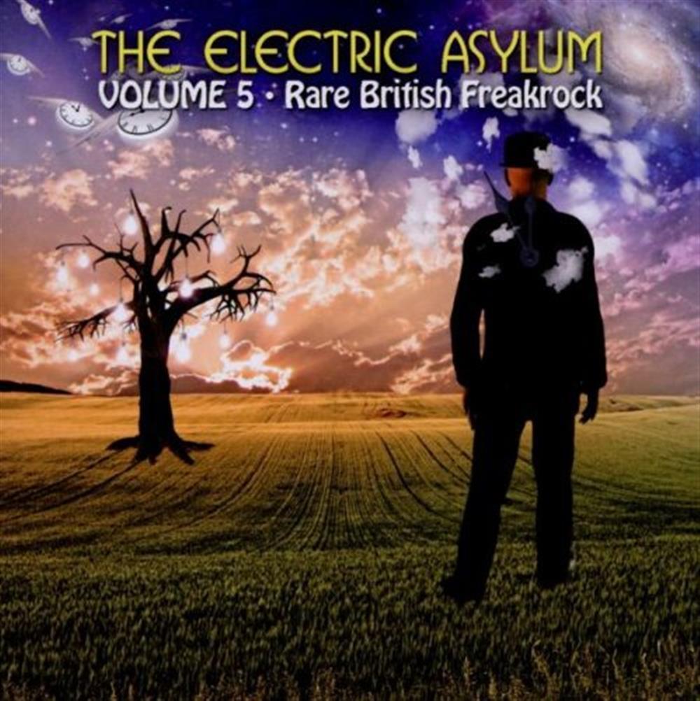 Electric Asylum Volume 5 - AA.VV. (Audio Cd)