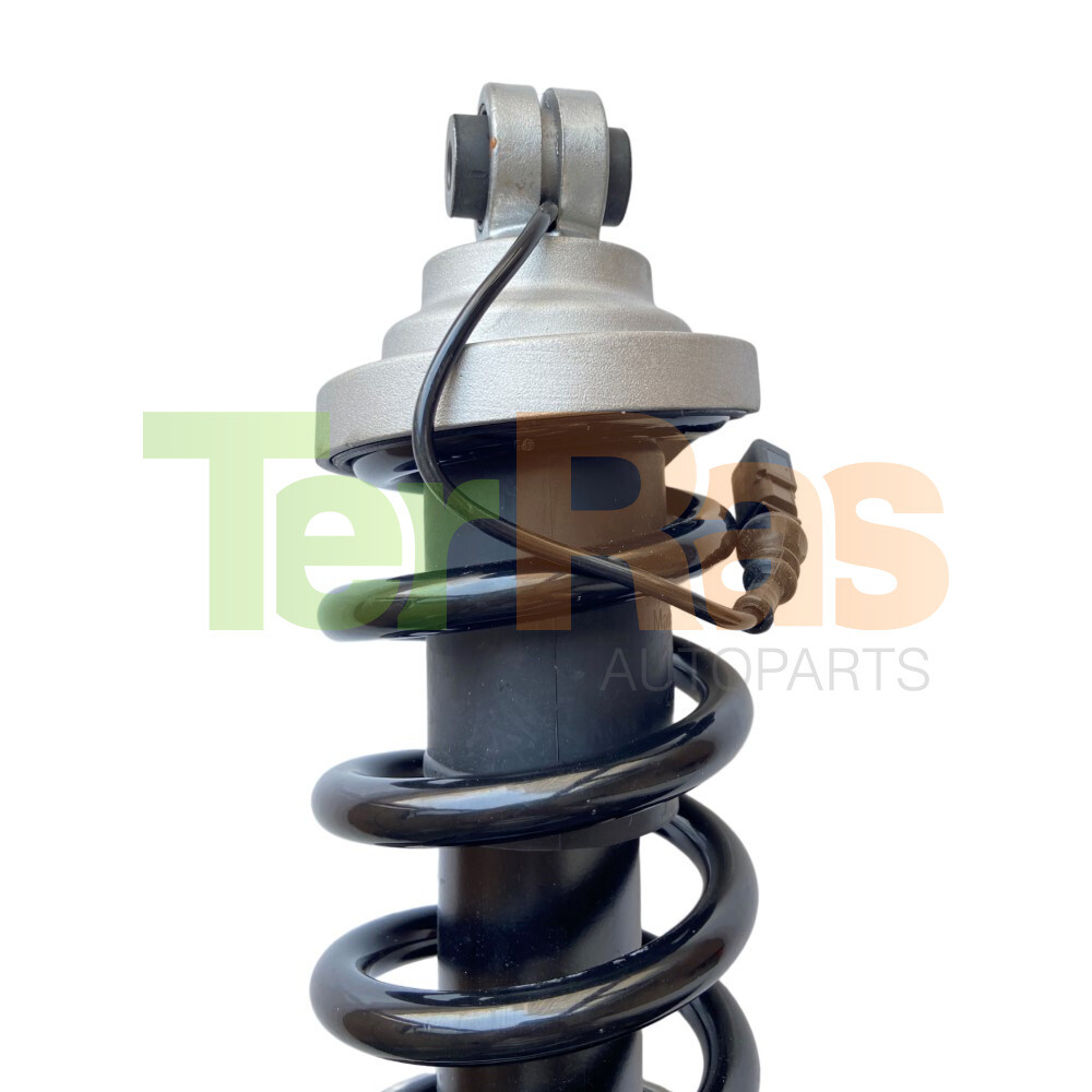 Lamborghini Huracan 2015-2021 REAR+LEFT, RIGHT Shock absorber P/N 4S0512019S