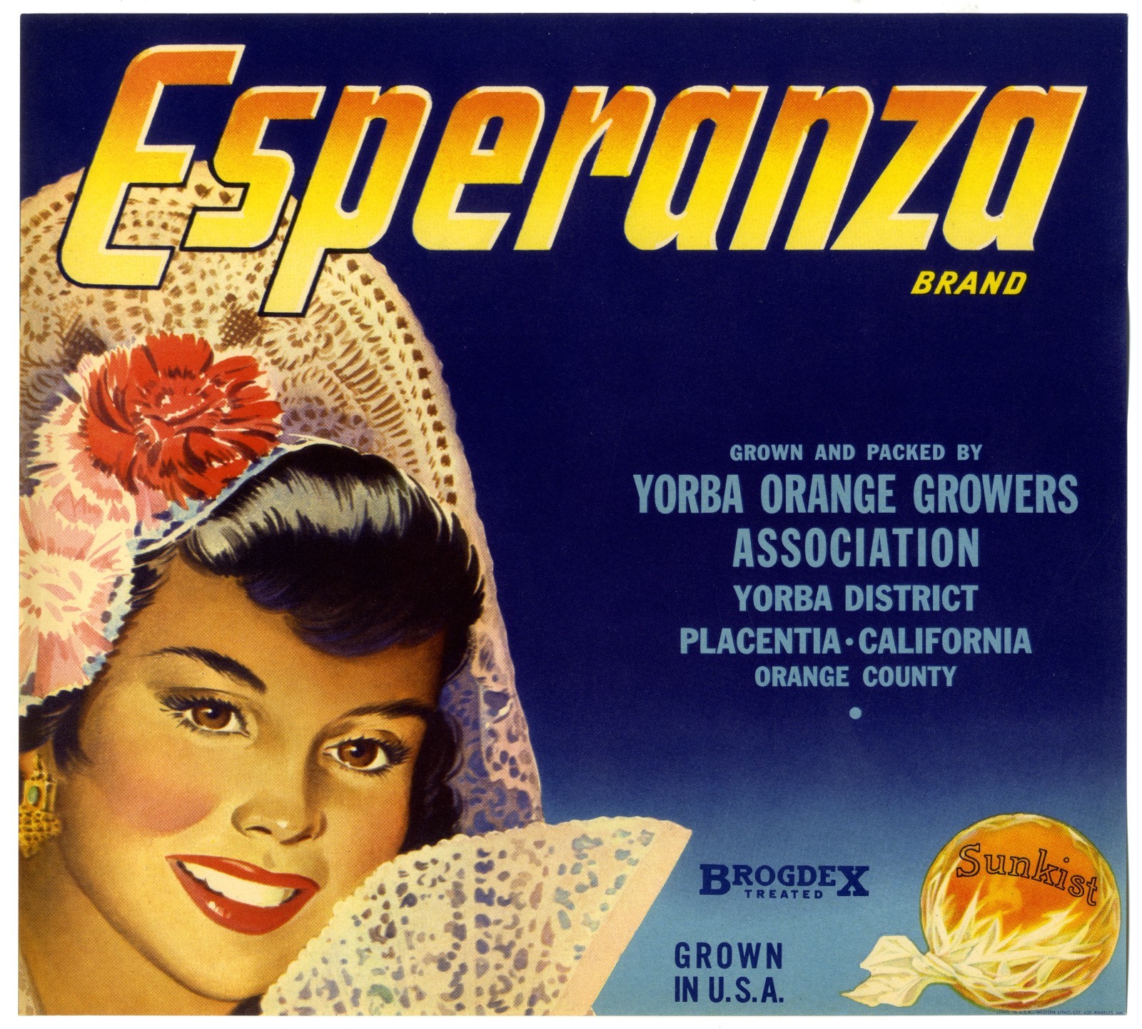 ESPERANZASPANISH SENORITA1940s PLACENTIA CALIFORNIA ORANGE FRUIT