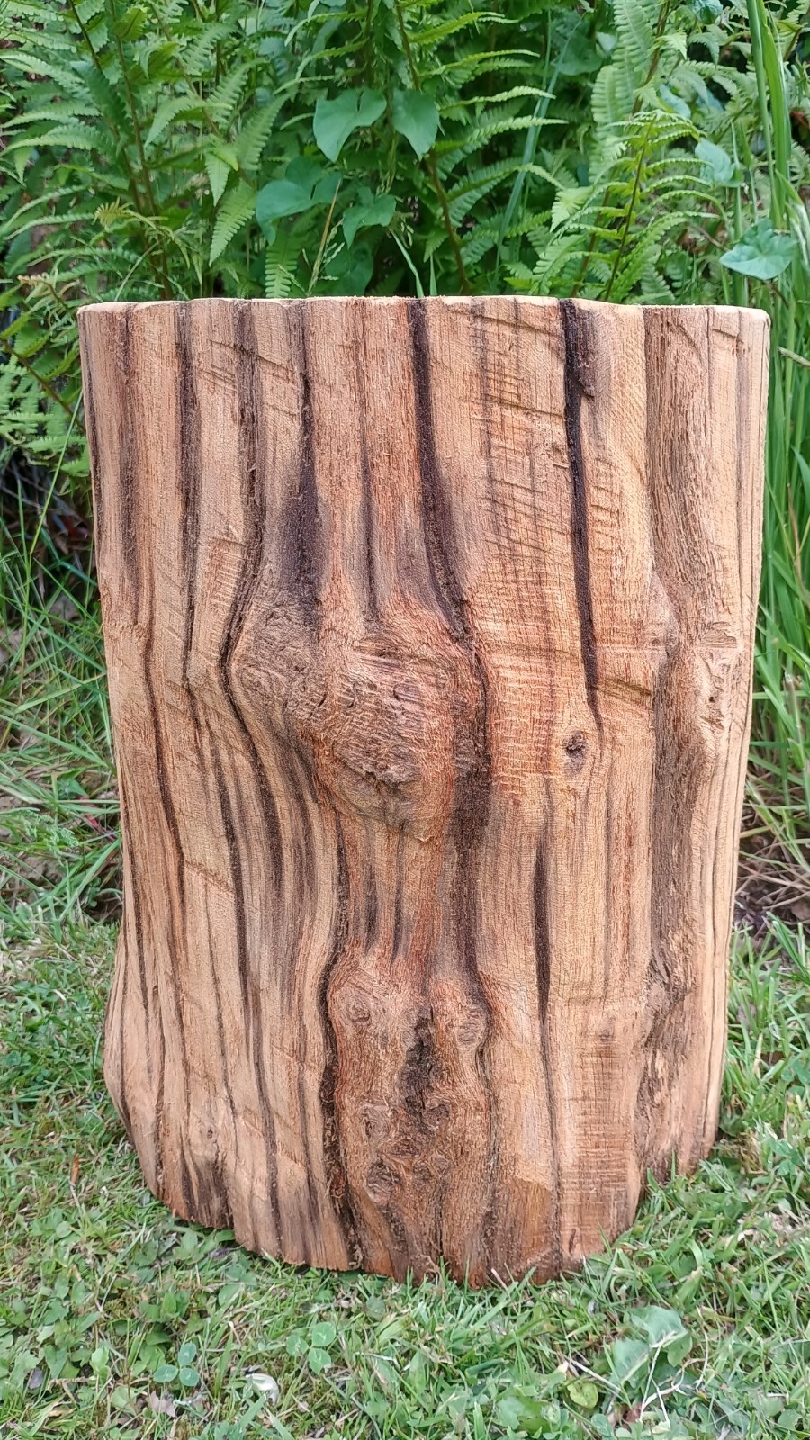 Picture 5 of 7