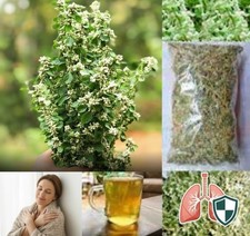 Organic Dried Polpala Tea, Aerva Lanata Herbal Tea . 25g. 100% Pure