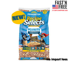 Pennington Recipe Selects Shelled Peanut for Birds and Wildlife 5 lb Bag, 1 Pack