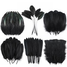 Black Craft Feathers Bulk - 240pcs 6 Style Mixed Natural Feathers for Wedding...