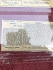 Lot 12 Antique Arbuckle Bros Coffee Trading Cards Color Advertising 1890s — photo 8