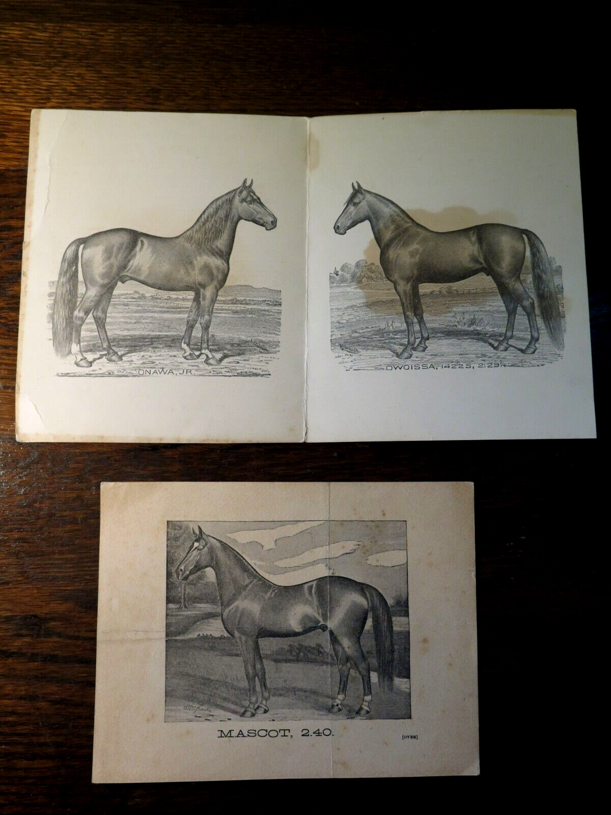 Antique Orig 1891 Equestrian Race Horse Sale Advert Cards New England Stallion
