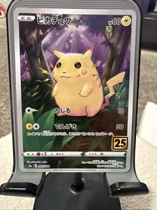 Pikachu 001 | eBay