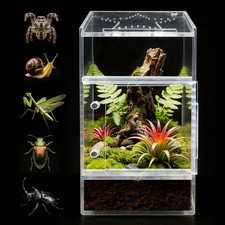 Jumping Spider Enclosure, Small Acrylic Spider Terrarium, Tarantula Spider Box,