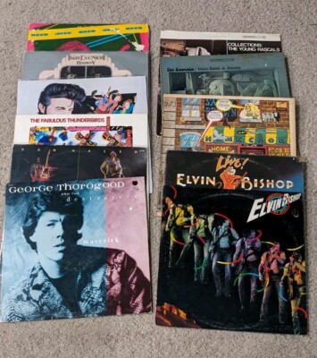 11 Classic Rock Records Vinyl LPs Rascals Savoy Brown Elvin Bishop Van Halen