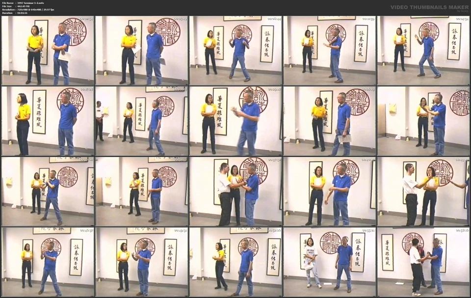 Chu Shong Tin's Intensive Wing Chun Seminar Series (9 DVD Set) Foto 2 de 4