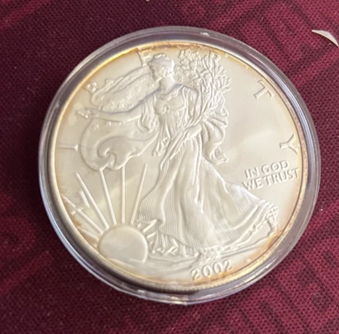 シルバーアメリカンイーグル 2002年 2002 W EAGLE S$1 PF | Coin Explorer | NGC
