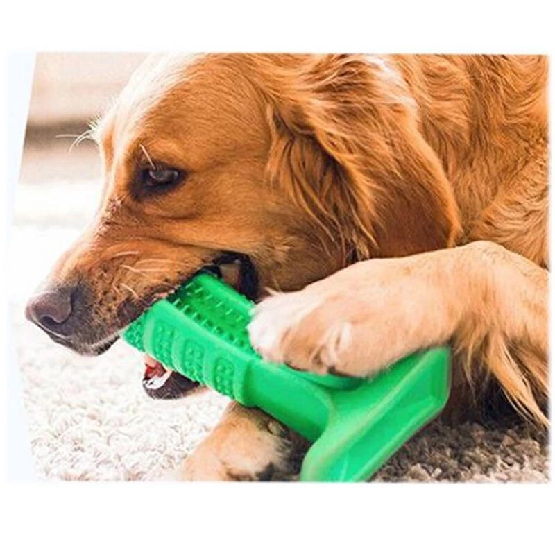 Large top dog toothbrush