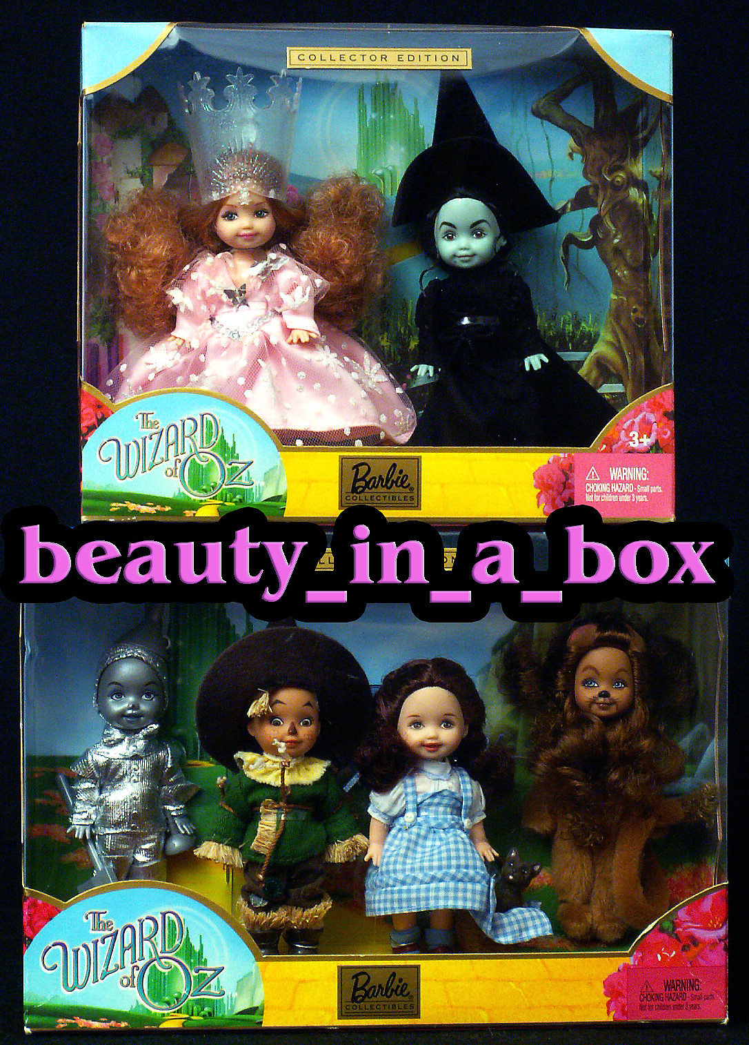wizard of oz barbie wicked witch