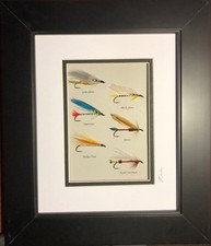 6 Framed and Mounted Trout Streamers