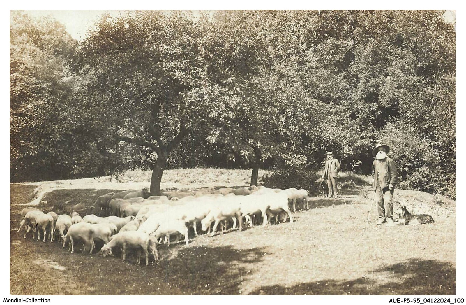 Photo 1/2