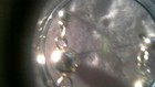 Bild 5 von 7