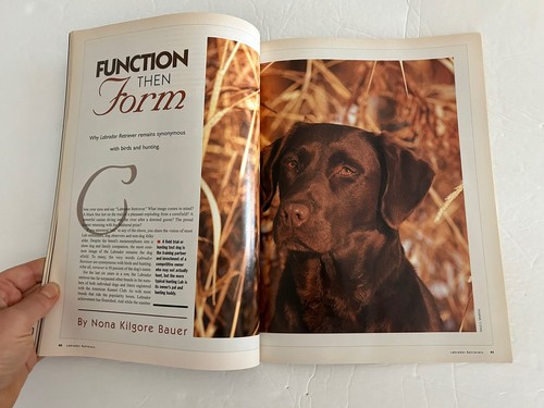 Labrador Retrievers Magazine 1999 Volume 1 Dog Fancy Supplement 1st Issue - Picture 10 of 12