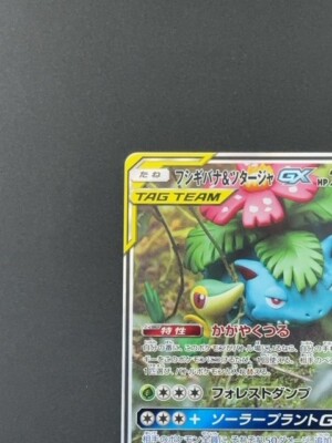 Pokemon Card Japanese Venusaur & Snivy GX 066/064 SM11a Tag Pokemon Card Japanese Venusaur & Snivy GX 066/064 SM11a Tag