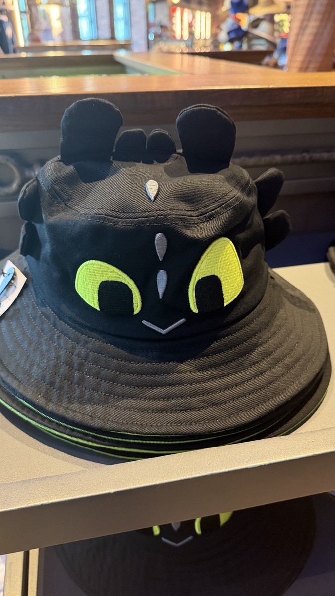 Exclusive How To Train Your Dragon Universal Studios Toothless