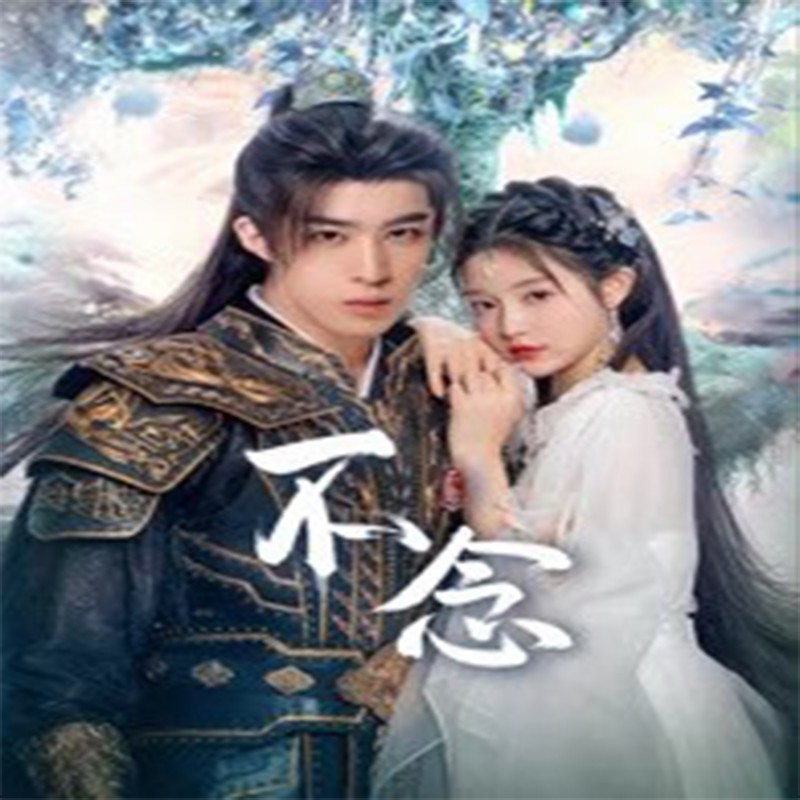 Chinese Drama bu nian Chinese Sub 不念 Boxed 2025
