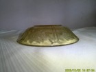 6-Inch Yellow Cabbage Rose Dessert Bowl — photo 2