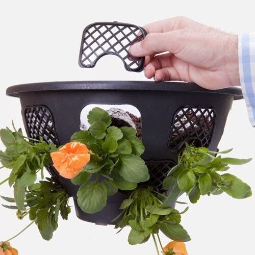 6 x Hanging Basket With Chain Indoor/Outdoor Flower Pot Plant Holder -Black - Picture 7 of 10