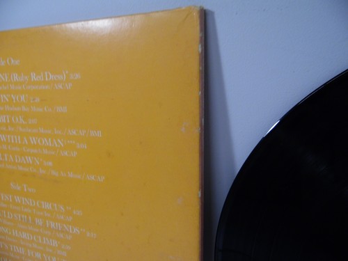 Helen Reddy - "Long Hard Climb" - LP Album - Picture 7 of 9