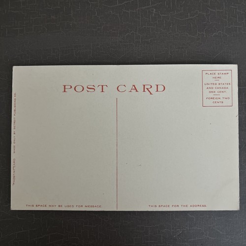Antique Postcard YELLOWSTONE National Park Norris Geyser Basin Detroit Pubs - Foto 3 di 3