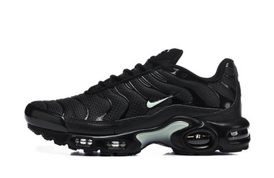 nike air max plus schwarz tn