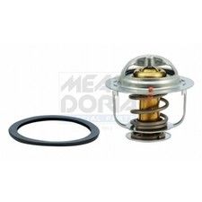 Thermostat Nissan TRADE