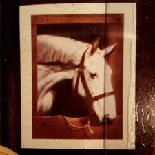 Wallies Wallpaper Horse Mural "Old Dobbin" 21"x 25", Pre-Pasted Roll, New in Box