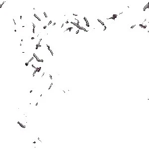 Bugle Miyuki 3-Tamaño de 3.9 mm cuentas para hacer joyas