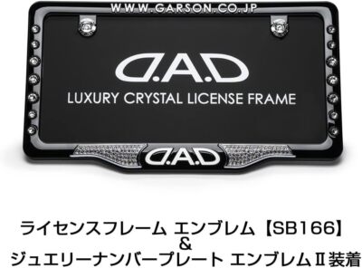 DAD GARSON Crystal License Frame II Front Model [Black/White 
