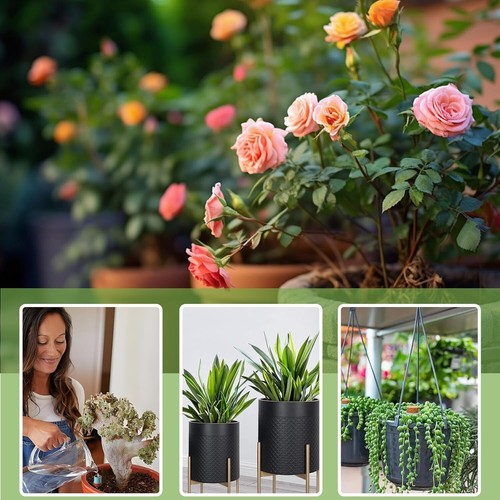 Plant Watering Globes 4 Pack Terracotta Pots Self Watering Pots Slow Release O - Picture 8 of 9