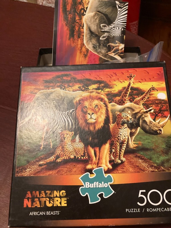 Amazing Nature African Beasts 500 Piece Puzzle – Buffalo Games #03770 - complete