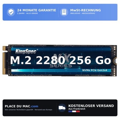 KingSpec NX-256GB M.2 NVMe 2280 256 GB SSD