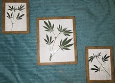 HANDCRAFTED REAL DRIED PRESSED HEMP LEAVES  ART IN FRAMES. SET OF 3