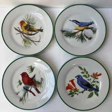 Set of 8 NWF Songbird 7.5” Dessert Plates Birds Nature Ceramic Porcelain
