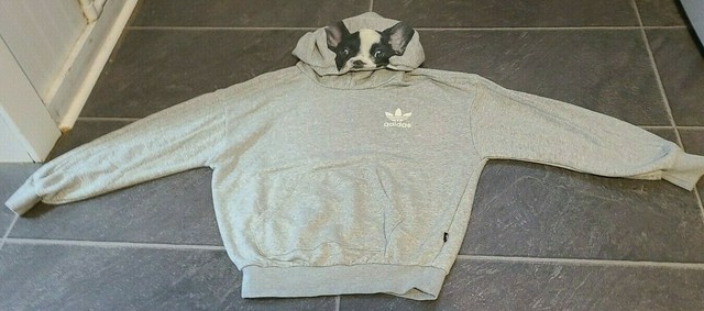 adidas french bulldog hoodie