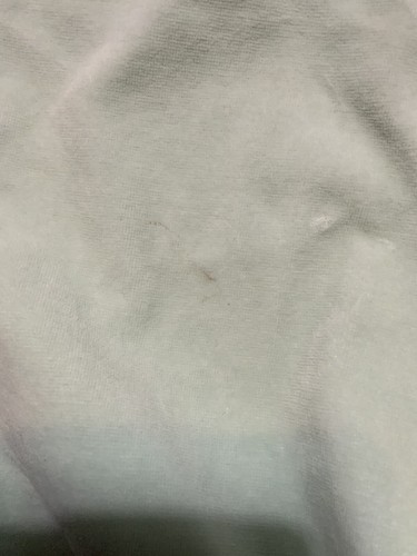 595 $ Alexander Wang gletschergrün ausgestellt Samt hohe Taille Stretch Hose Gr. 12 - Bild 17 von 18