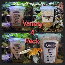 Fruit Fly Culture 4Pack Variety Live Wingless Turkish Gliders Golden and Hydei