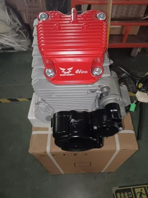 Zongshen CPS300 4-Valve SOHC 300cc Performance Engine 29hp/5 Speed