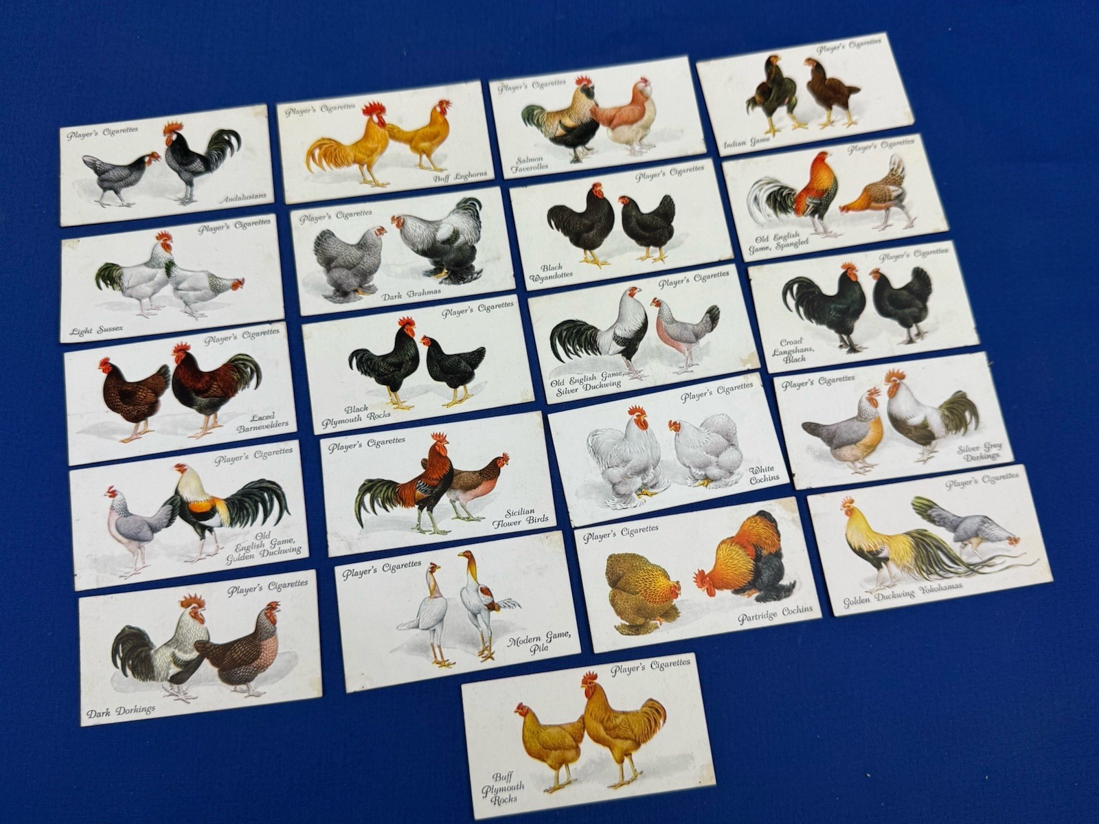1931 John Player & Sons POULTRY Tobacco Cards, 21 Different, Imperial Tobacco Co