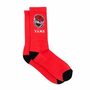 vans meias vans meias