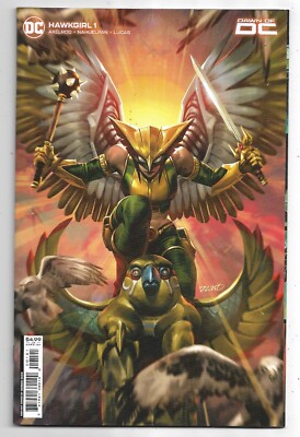 Hawkgirl #1 Variant Cover Dawn of DC NM (2023) DC Comics