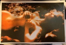 JANE FONDA VINTAGE 1970 ORIGINAL SEXY POSE POSTER By RICHARD MORGAN