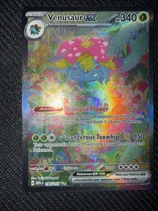 taccardstcg on eBay