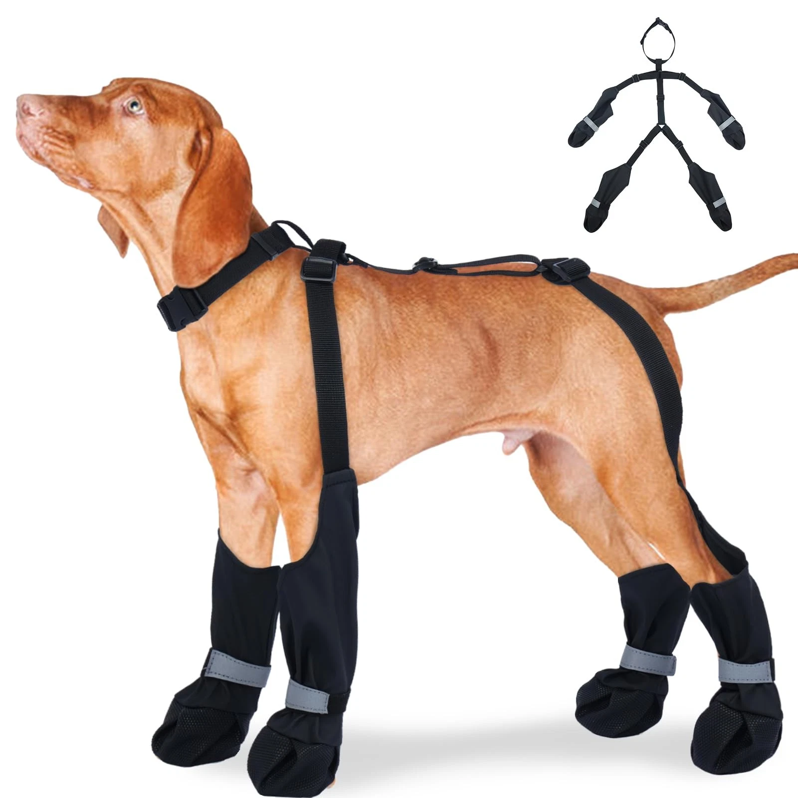 SeranPup M Black StayOn Suspender Dog Boots | AntiSlip Waterproof | Adjustabl...
Opens in a new wind