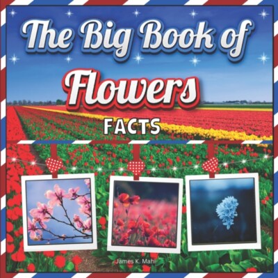 Mahi - Big Book of Flowers Facts  An Educational Colorful Picture Book - X555z