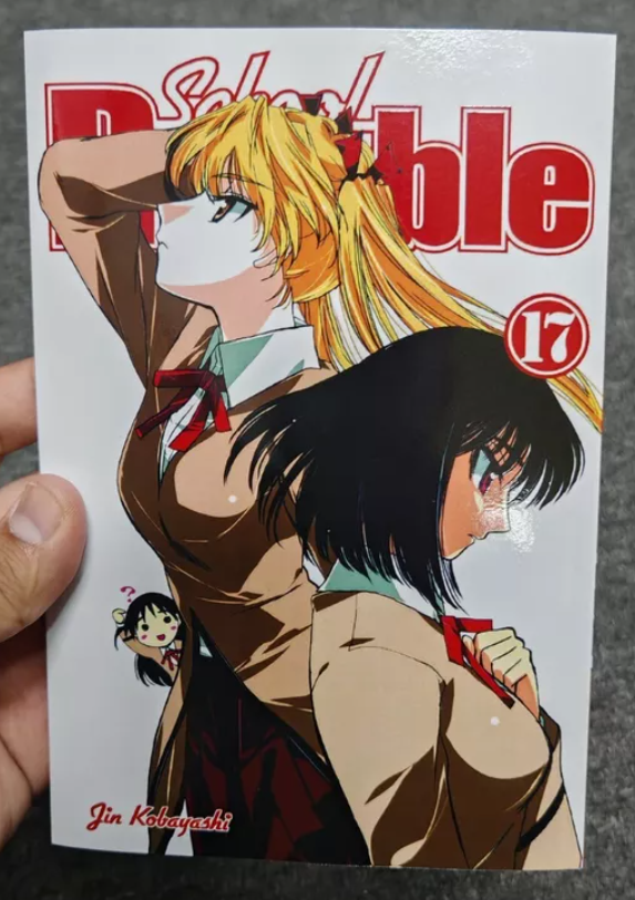 School Rumble スクールランブル 英語版 漫画 SCHOOL RUMBLE Manga