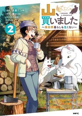 Tatsuya Endo I Bought A Mountain  Living In Another Worl (Paperback) (UK IMPORT)